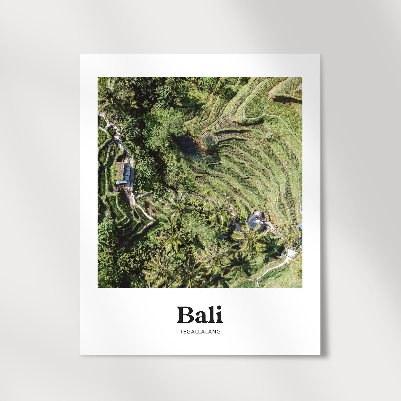 Bali - Ubud Tegallalang Rice Terrace Print