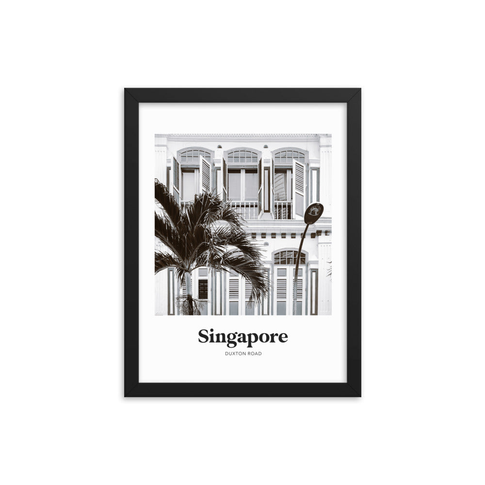 Singapore - Black & White Duxton Road Print