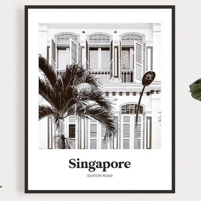 Singapore - Black & White Duxton Road Print