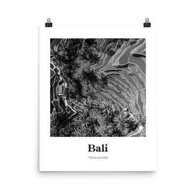 Bali - Black & White Ubud Tegallalang Rice Terrace Print