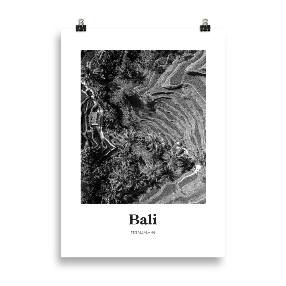 Bali - Black & White Ubud Tegallalang Rice Terrace Print